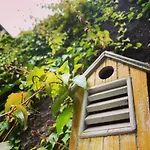 La Maison Aux Murs Anciens Et Ses Privatunterkunft *