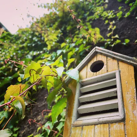 La Maison Aux Murs Anciens Et Ses Homestay *