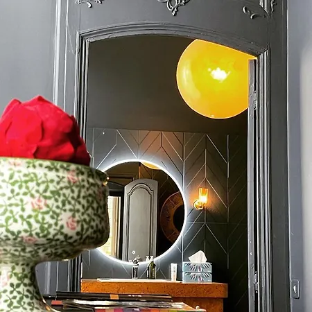 La Maison Aux Murs Anciens Et Ses Habitación en casa particular Tarbes