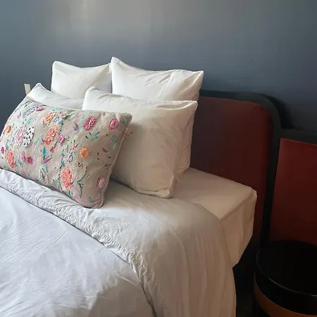 La Maison Aux Murs Anciens Et Ses Habitación en casa particular Tarbes