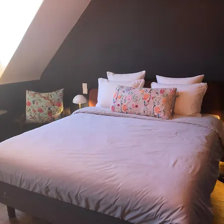 La Maison Aux Murs Anciens Et Ses Habitación en casa particular Tarbes